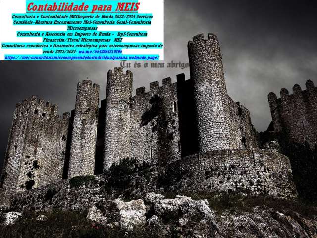  CURITIBA CONSULTORIA PARA MEI - DECLARAÇÃO ANUAL/GUIAS DASN 