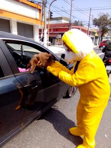 locutor/ locução  e mascote do cachorro ação de markeying